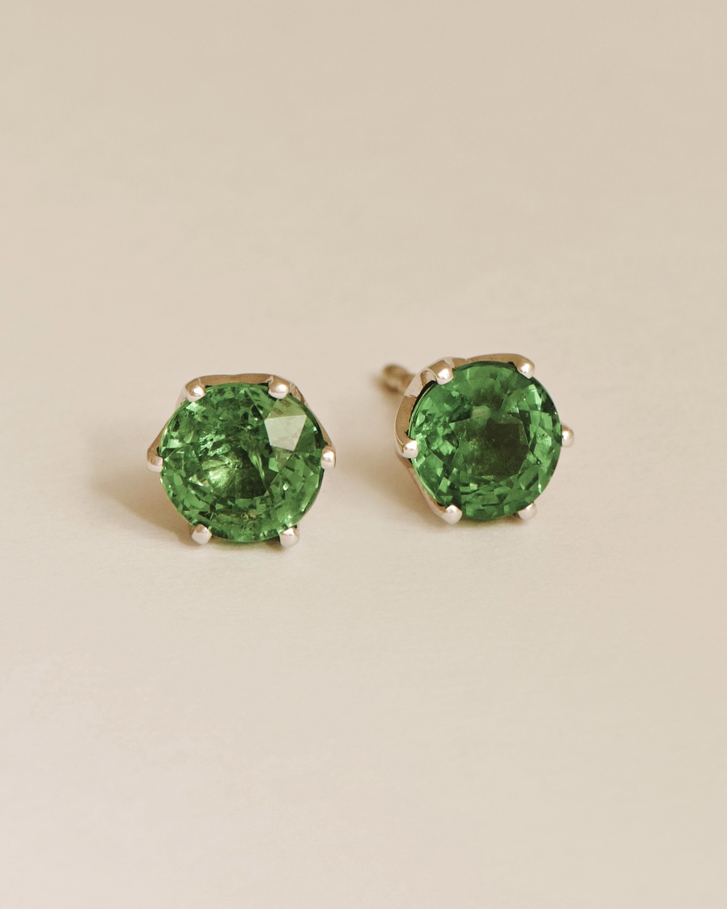 HD1_StillLife_Flavia_sept2023_1 small