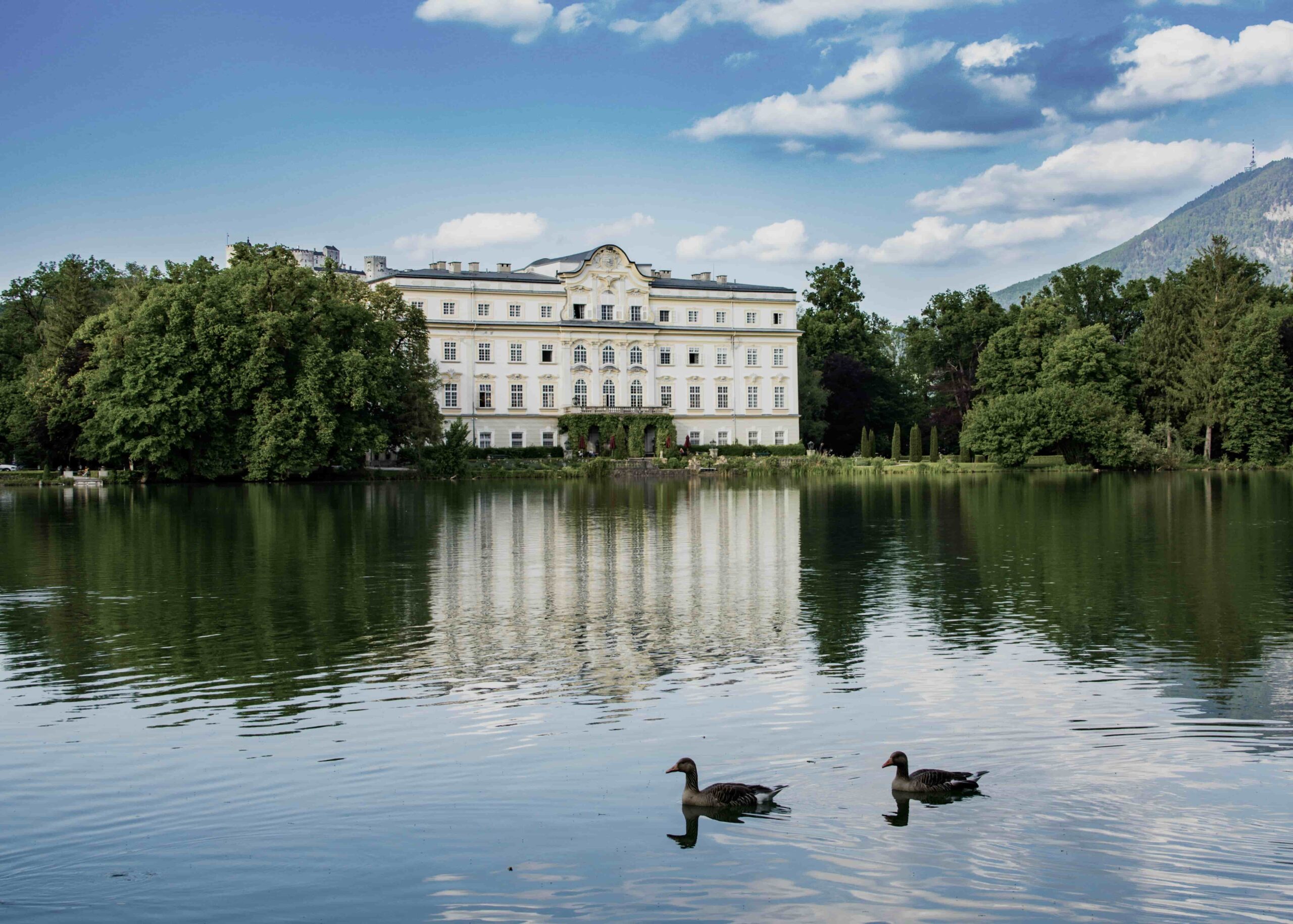 sanja-lazic-Hmy-T7Pktrs-unsplash-2