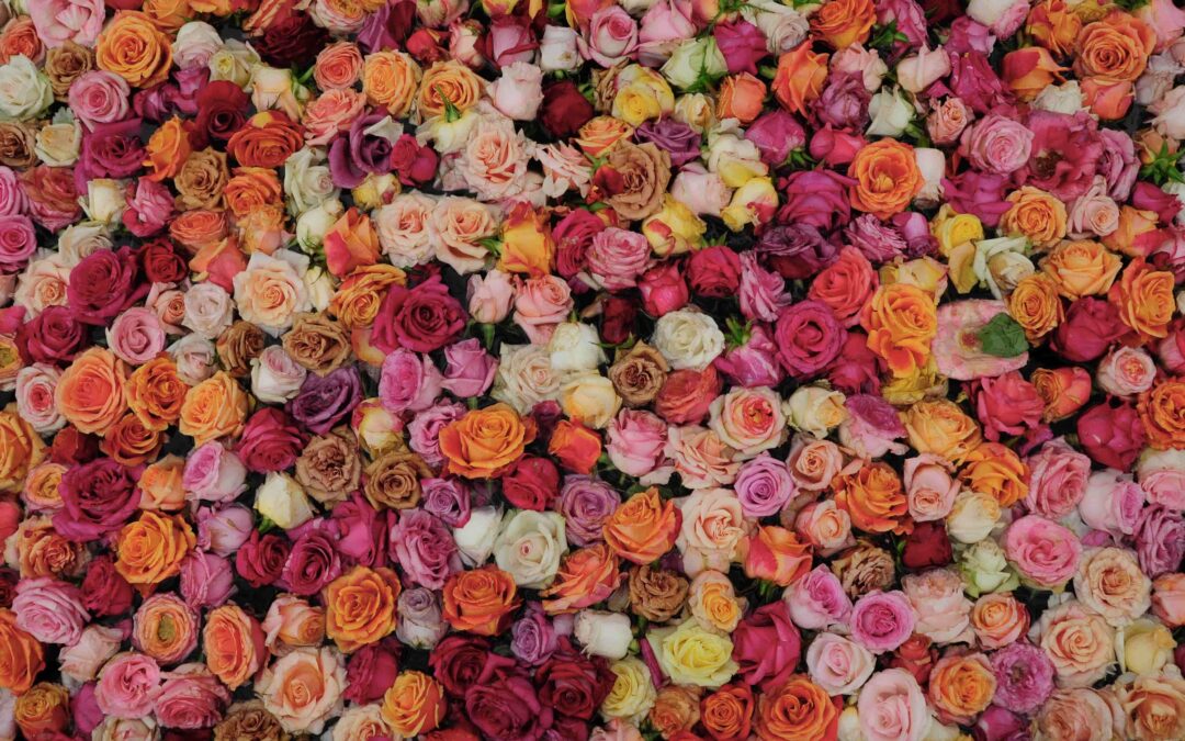 Zurich Churches Celebrate Easter with Roses