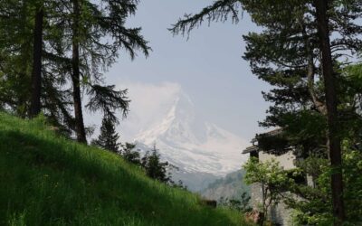 Check-In: Cervo Mountain Resort Zermatt