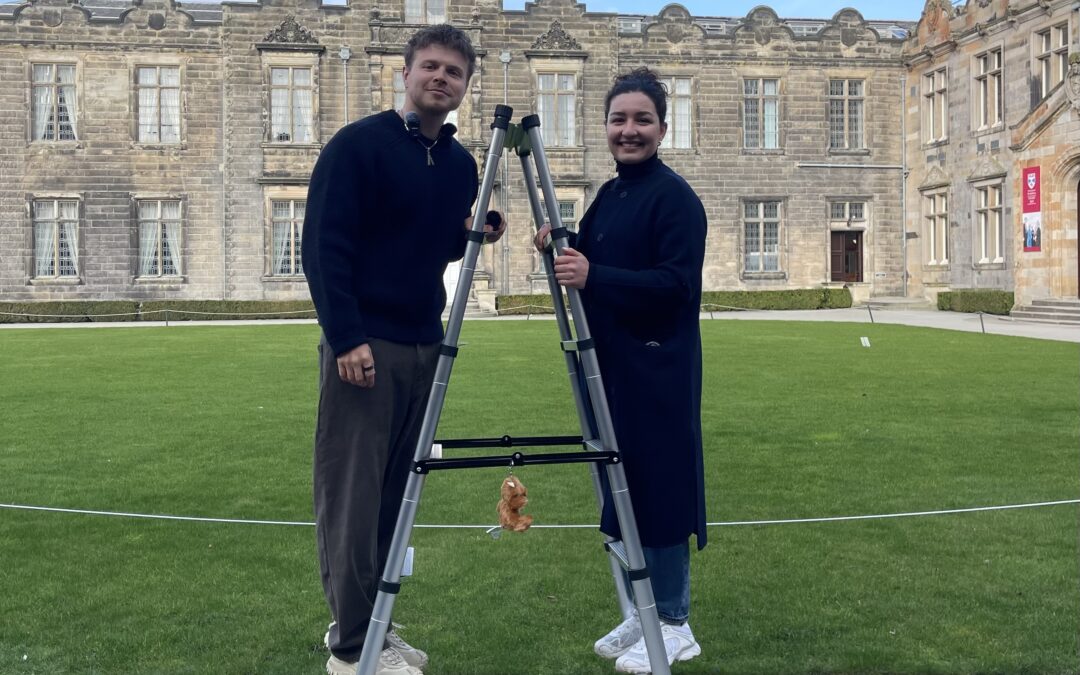 SAFAR on the Career Ladder at the University of St Andrews